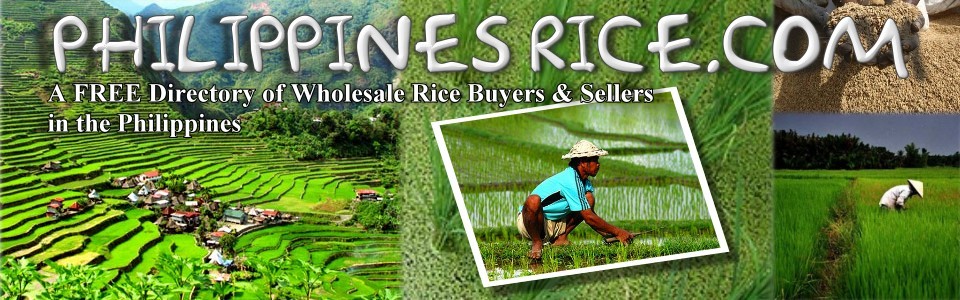 philippines-rice-header